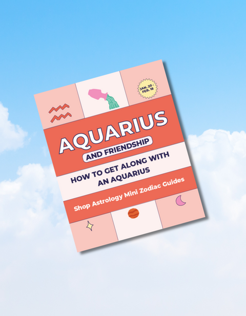 Aquarius Mini Zodiac Friendship Guide