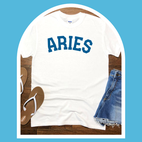 Aries varsity text shirt