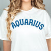 Aquarius shirt retro varsity grey zodiac star sign astrology tee preppy trendy aesthetic graphic t-shirt birthday gift for women t shirt