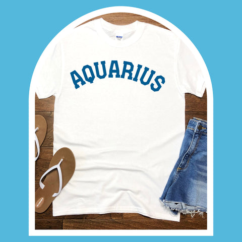 Aquarius varsity text shirt