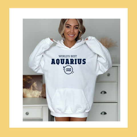 World's best Aquarius hoodie