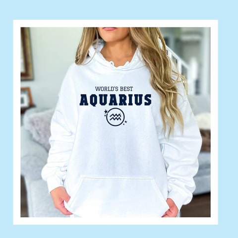 World's best Aquarius hoodie